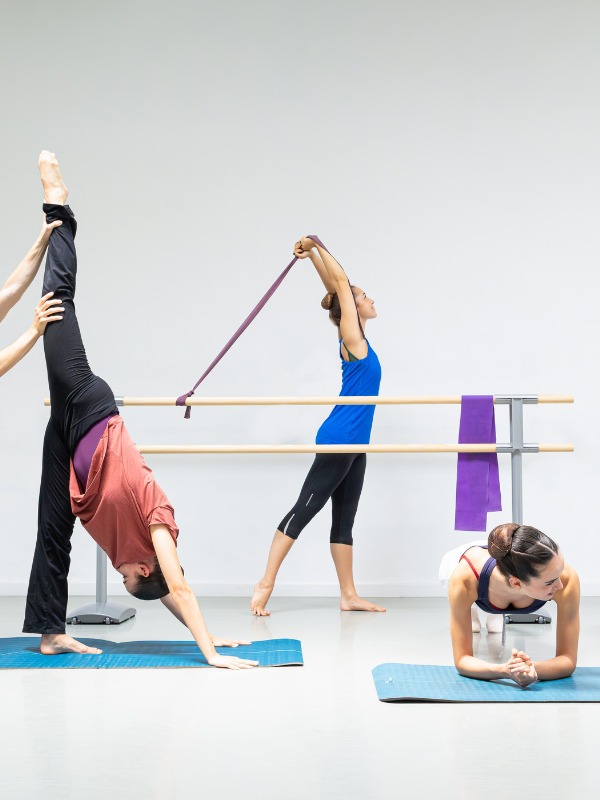 Barra ballet premium Maurice shop 4 Barra ballet premium Maurice shop 4