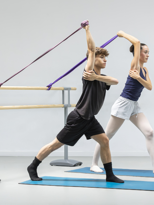 barra ballet premium maurice shop barra ballet premium maurice shop