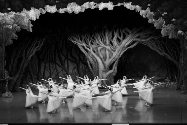 Il balletto Giselle, il classico che ha dato il nome alla nostra sbarra doppia regolabile